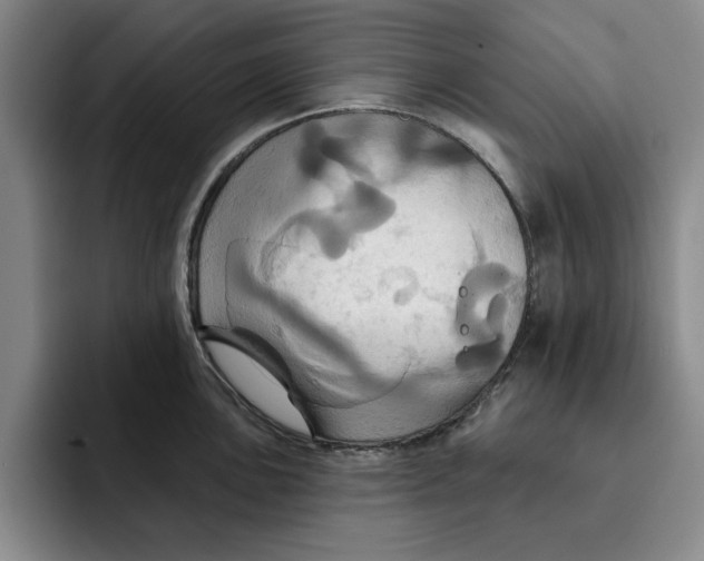 X0000091641051200709201104