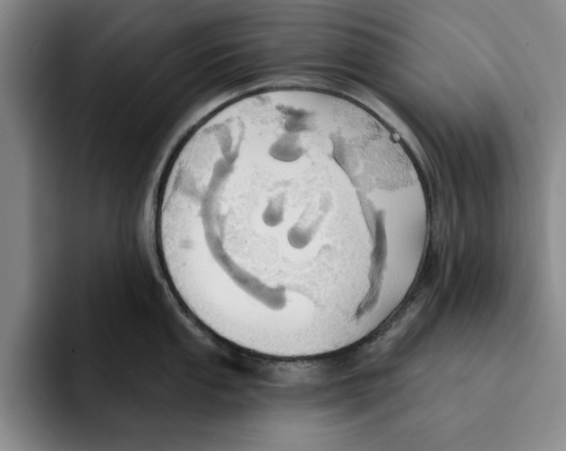 X0000091641053200709201104