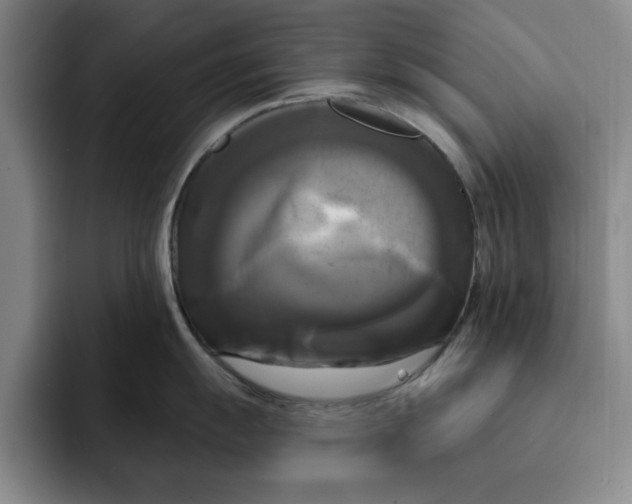 X0000091641055200709201104