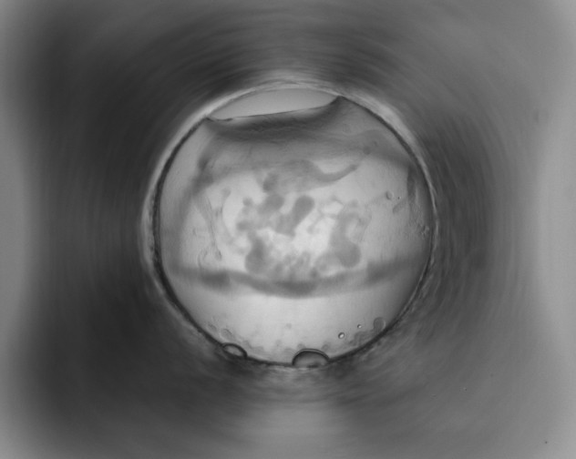 X0000091641056200709201104