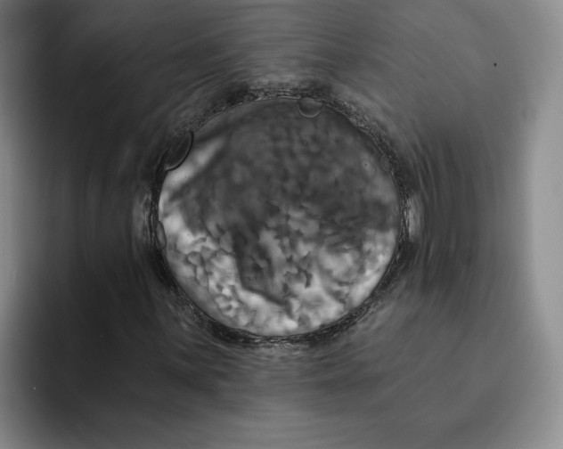X0000091641059200709201104