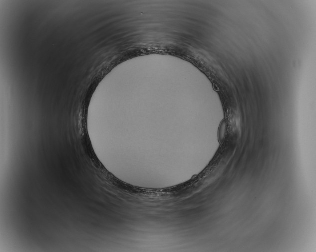 X0000091641060200709201104
