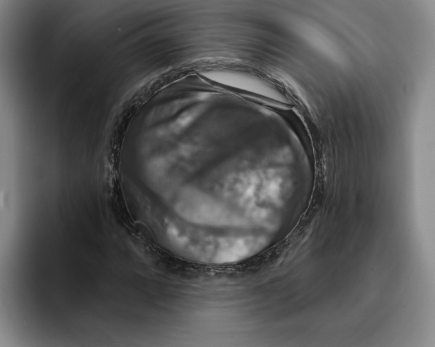 X0000091641064200709201104
