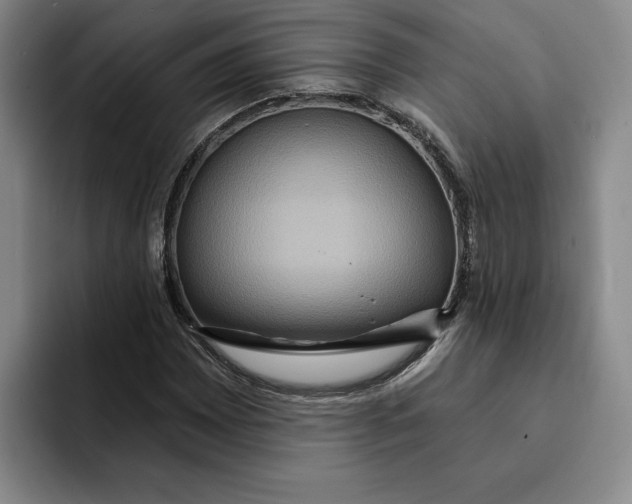 X0000091641065200709201104