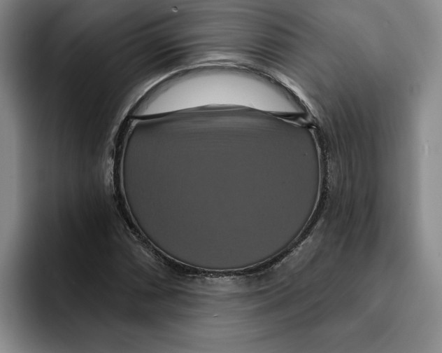 X0000091641066200709201104
