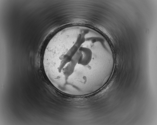 X0000091641067200709201104