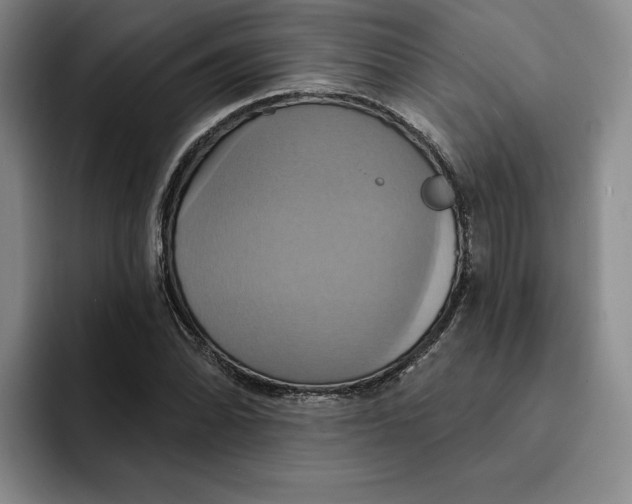 X0000091641070200709201104