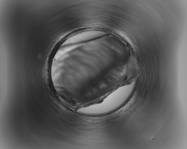 X0000091641071200709201104
