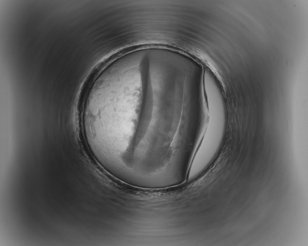 X0000091641072200709201104