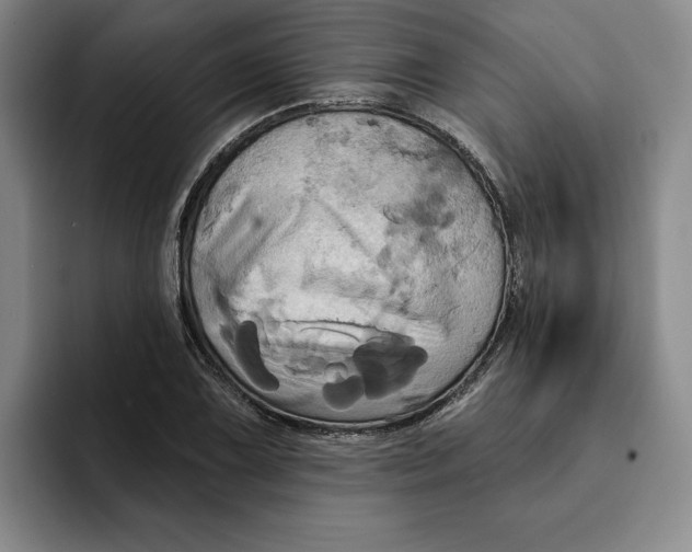 X0000091641075200709201104