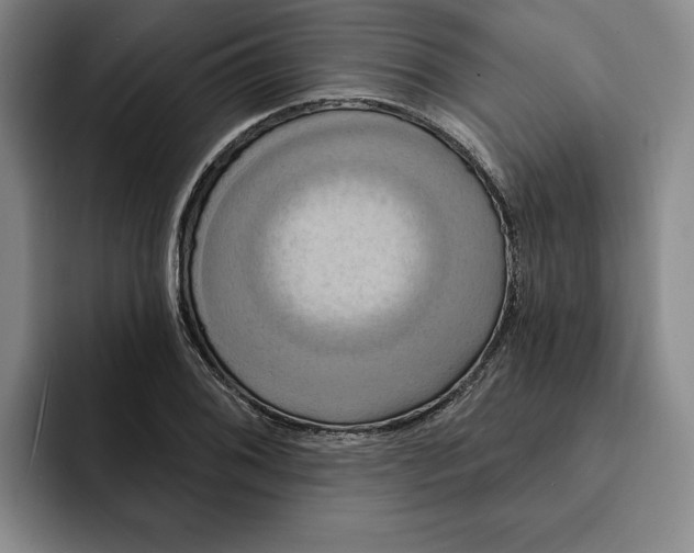 X0000091641076200709201104