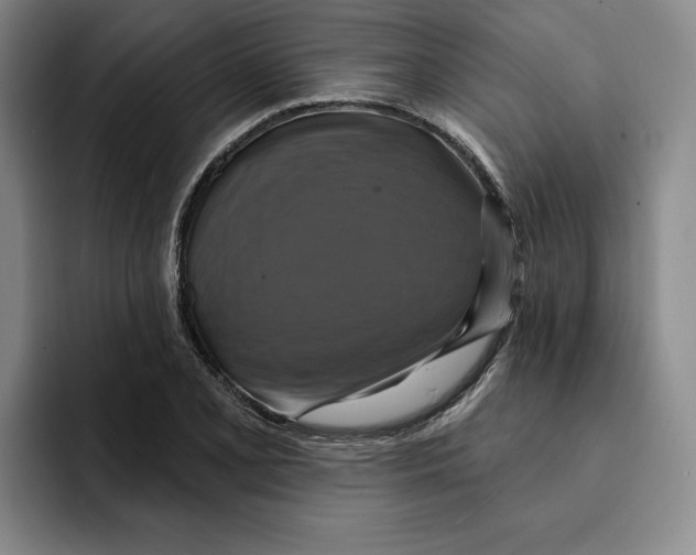 X0000091641077200709201104