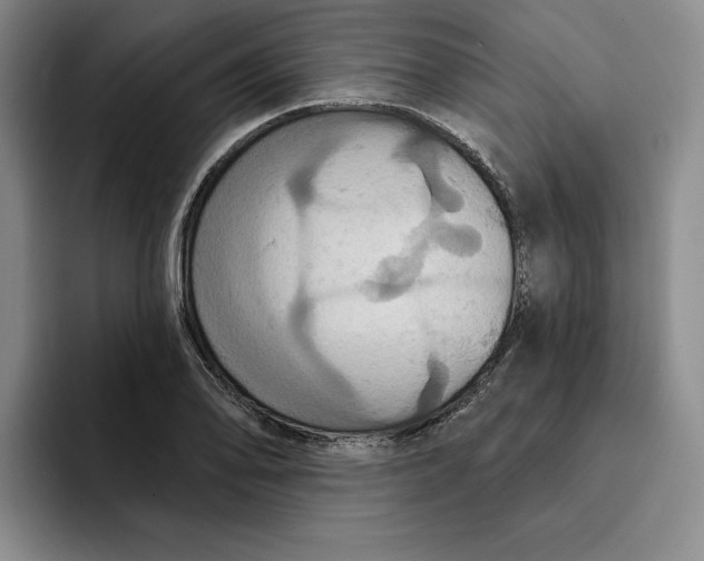X0000091641078200709201104