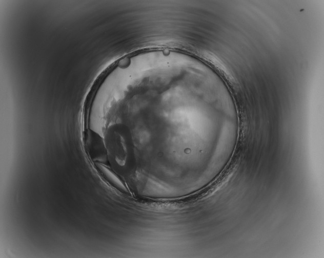 X0000091641079200709201104