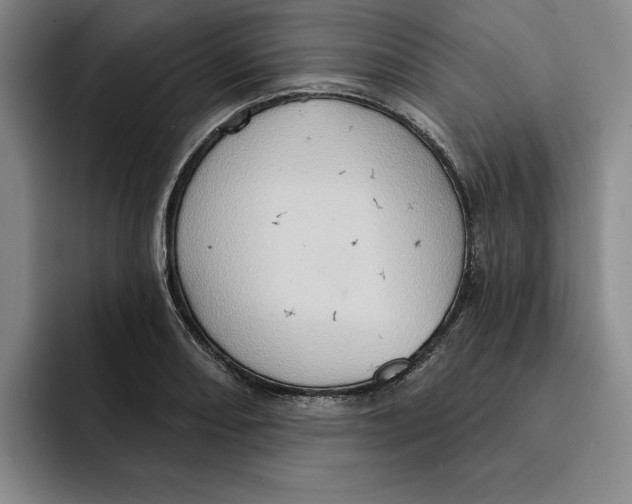 X0000091641082200709201104