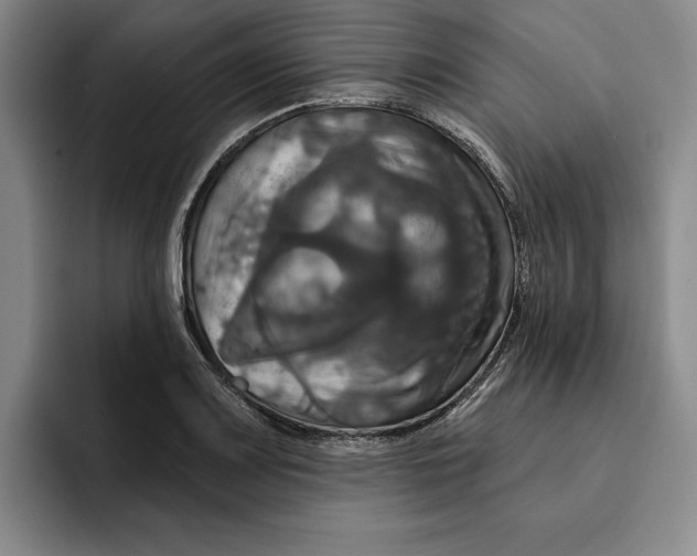 X0000091641083200709201104