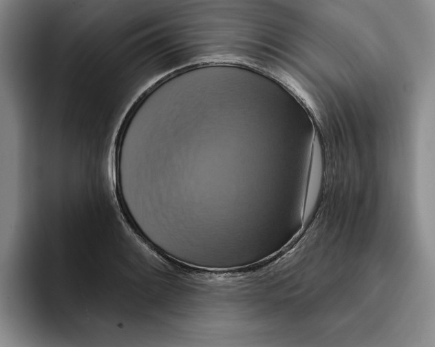 X0000091641084200709201104