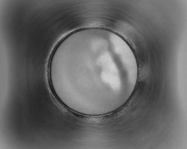 X0000091641086200709201104