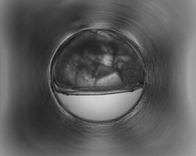 X0000091641087200709201104