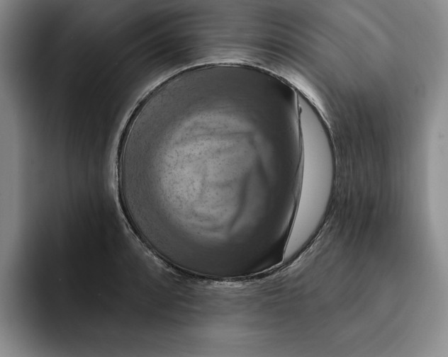 X0000091641088200709201104