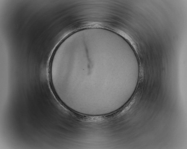 X0000091641090200709201104