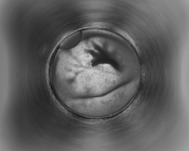 X0000091641091200709201104