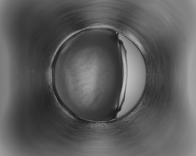 X0000091641092200709201104