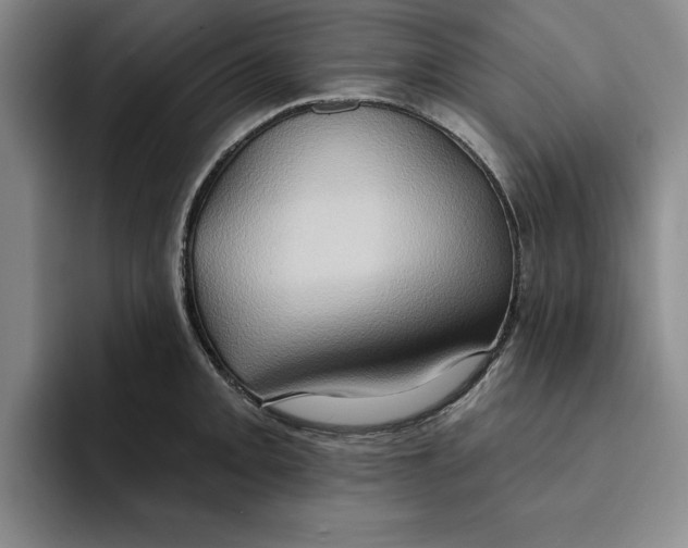 X0000091641093200709201103