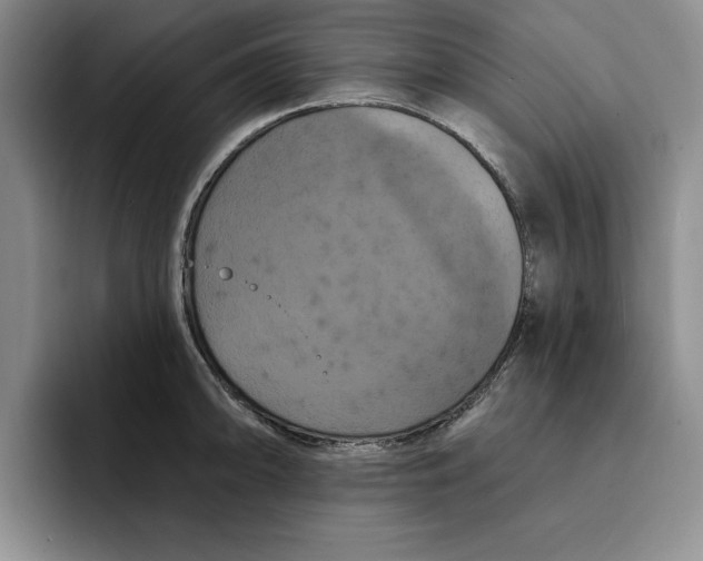 X0000091641094200709201103