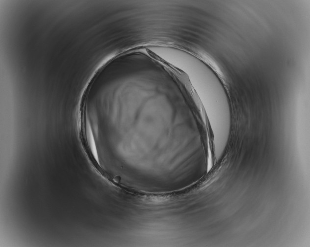 X0000091641095200709201103