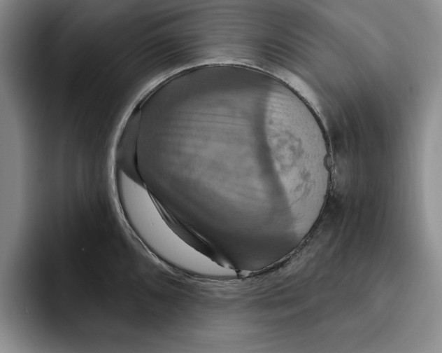 X0000091641096200709201103
