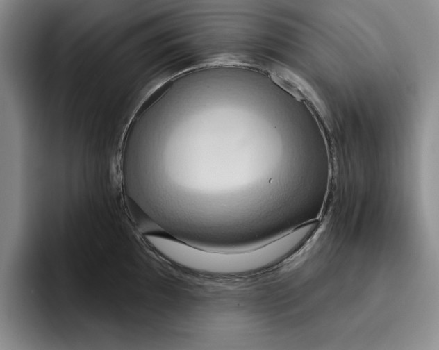 X0000091641097200709201103