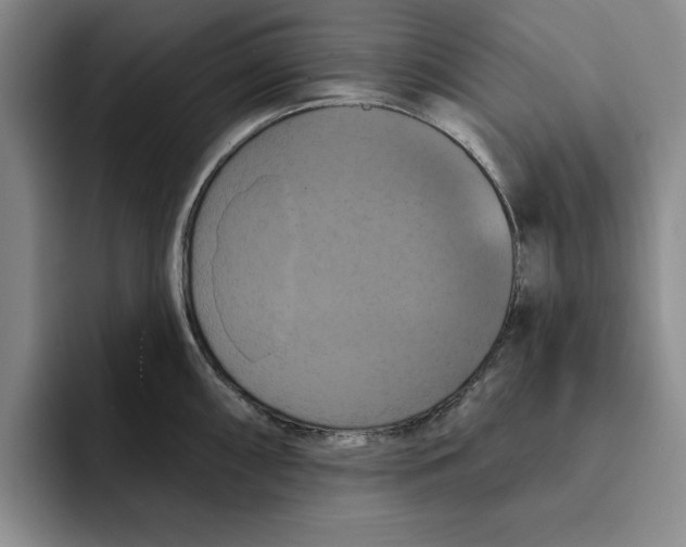X0000091641098200709201103