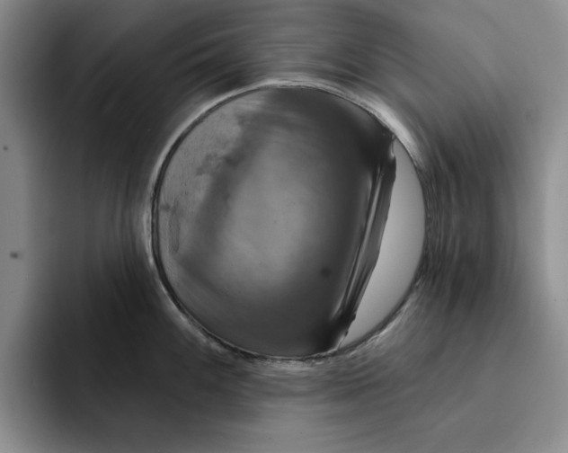 X0000091641100200709201103