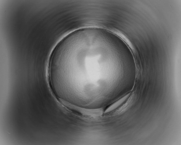 X0000091641101200709201103