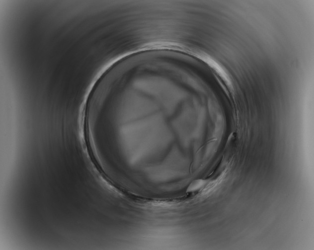 X0000091641102200709201103