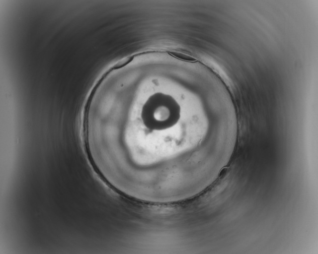 X0000091641103200709201103