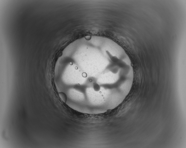 X0000091641105200709201103