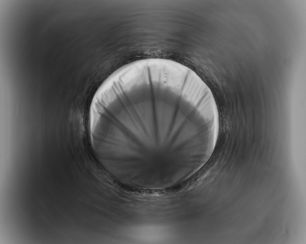 X0000091641106200709201103