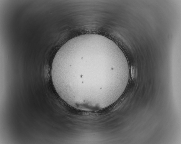 X0000091641107200709201103