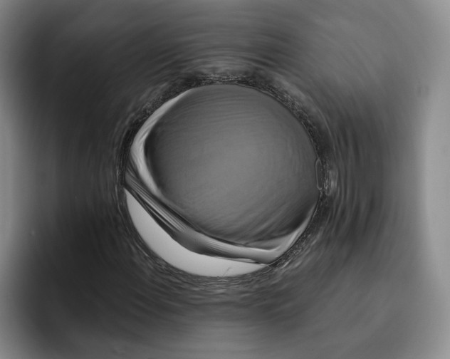 X0000091641108200709201103