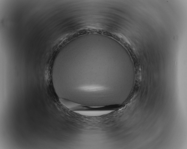 X0000091641110200709201103