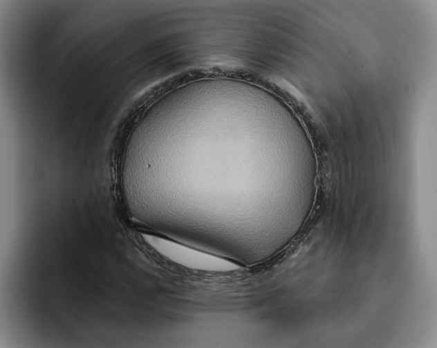 X0000091641112200709201103