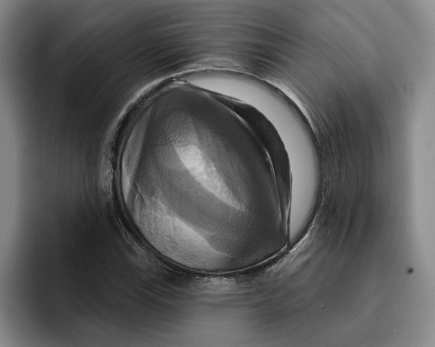 X0000091641115200709201103