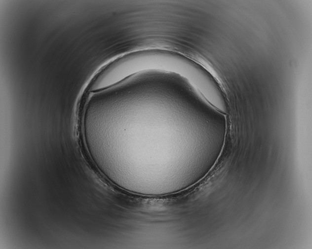 X0000091641116200709201103