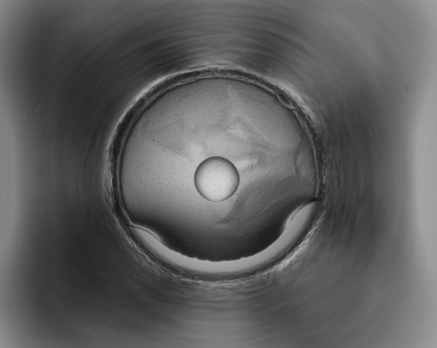 X0000091641118200709201103