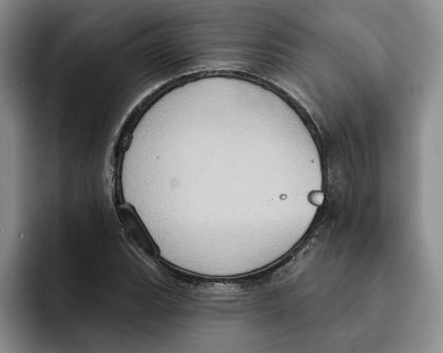 X0000091641119200709201103