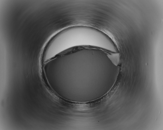 X0000091641120200709201103