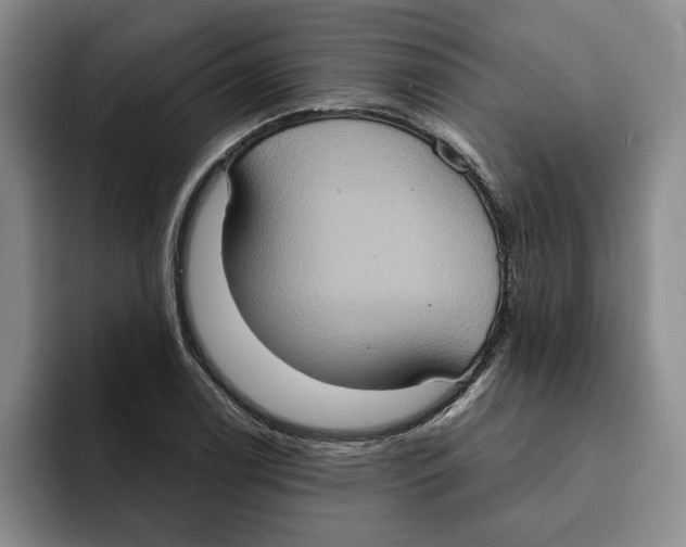 X0000091641122200709201103