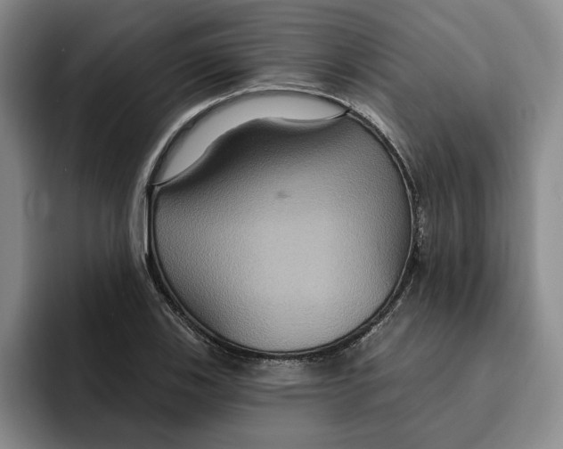 X0000091641123200709201103